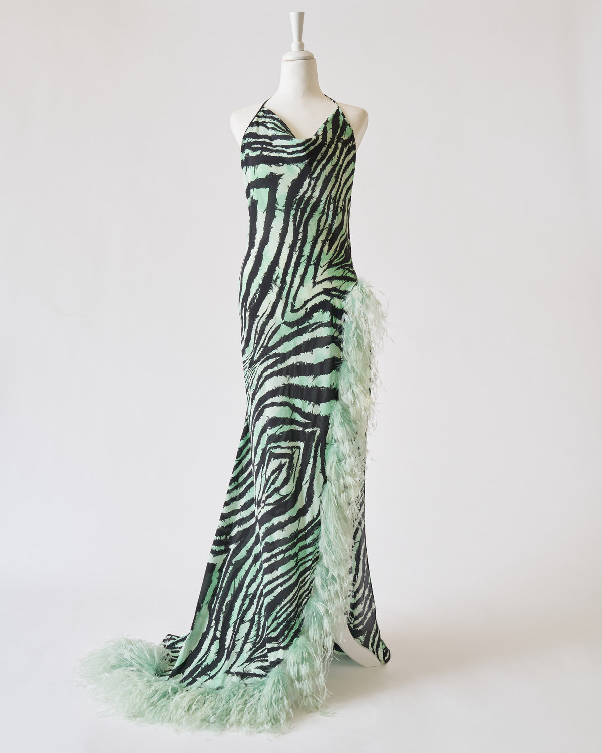 Roberto Cavalli long dress with features